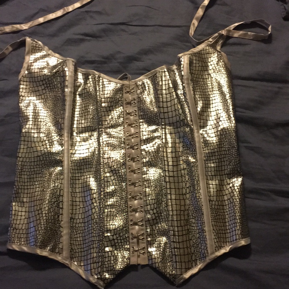 Metallic snake skin corset